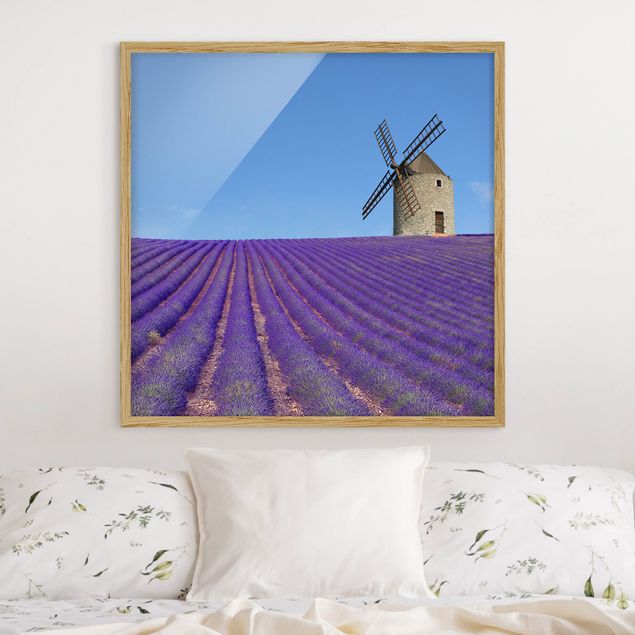 Kitchen Lavender Scent In The Provence