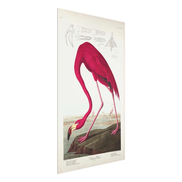 Floral picture Vintage Board American Flamingo