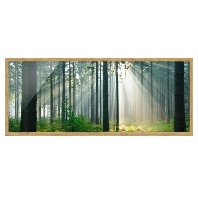 Contemporary art prints Enlightened Forest