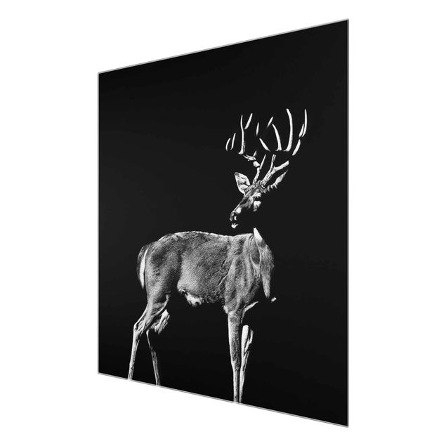 Black and white wall art Deer In The Dark