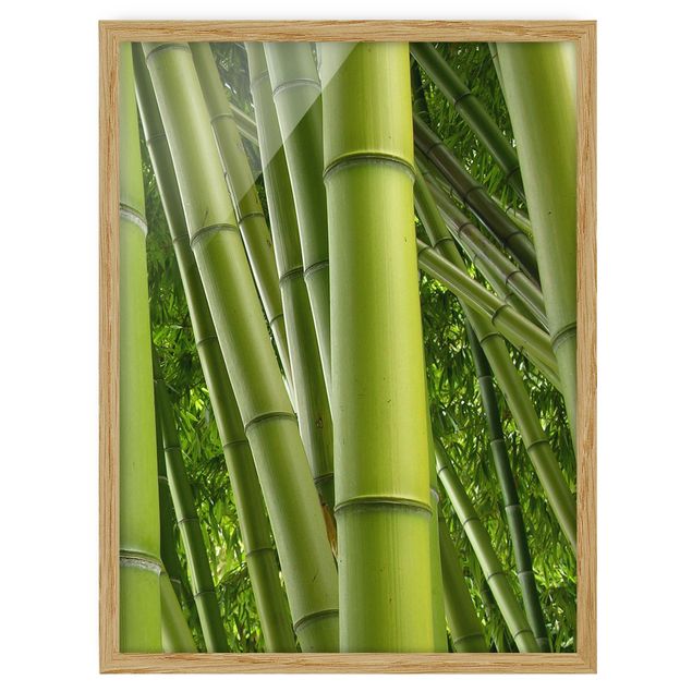 Floral canvas Bamboo Trees No.2