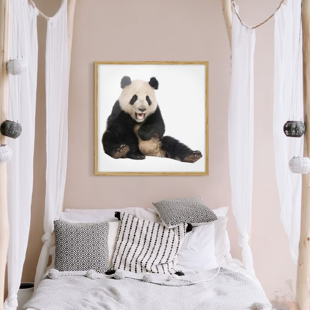 Prints animals Laughing Panda
