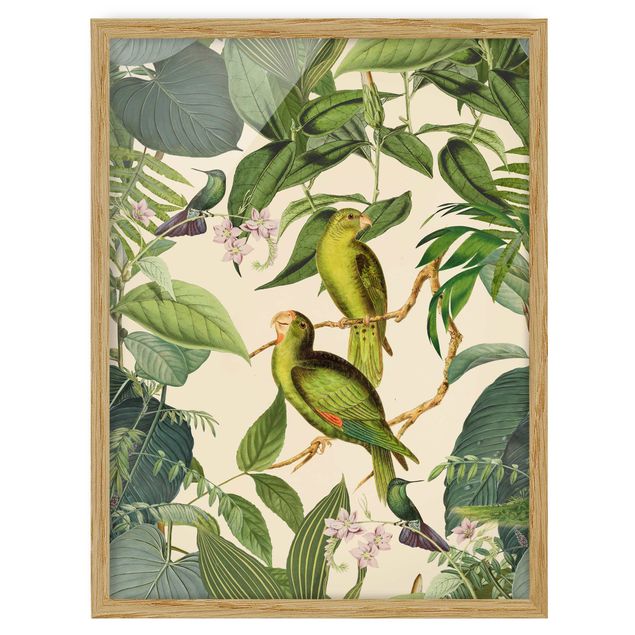 Prints vintage Vintage Collage - Parrots In The Jungle