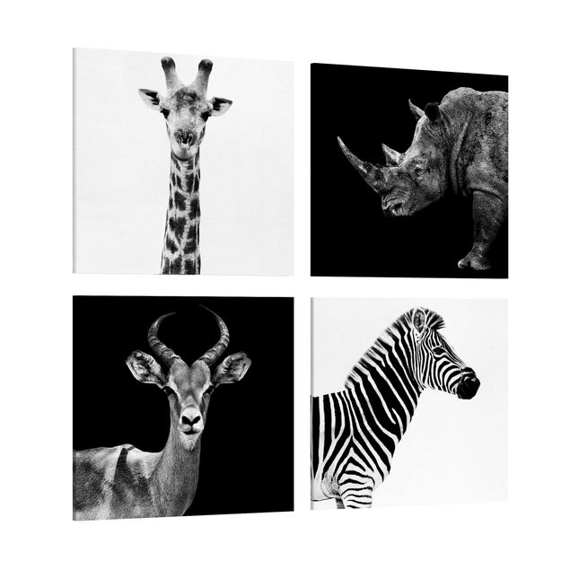 Canvas black and white Safari Quartet