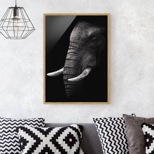 Kitchen Dark Elephant Portrait
