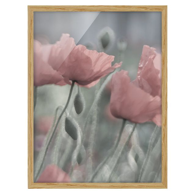 Floral prints Picturesque Poppy