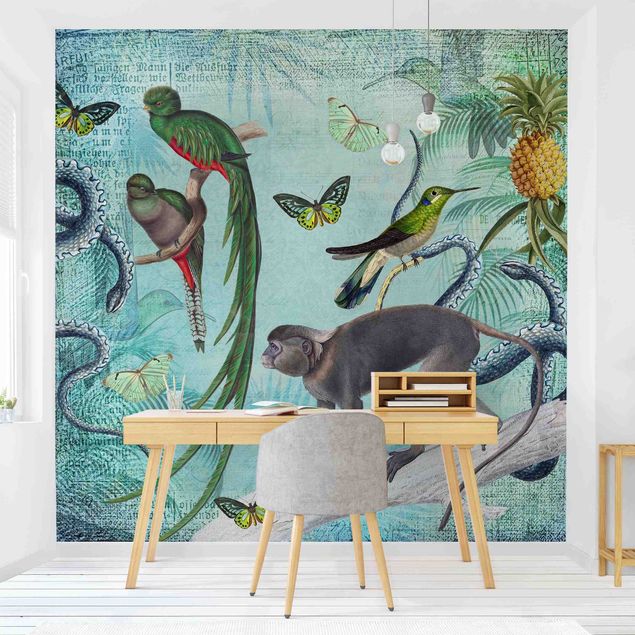 Wallpapers butterfly Colonial Style Collage - Monkeys And Birds Of Paradise