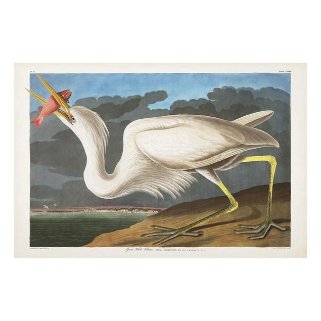 Animal wall art Vintage Board Great White Egret