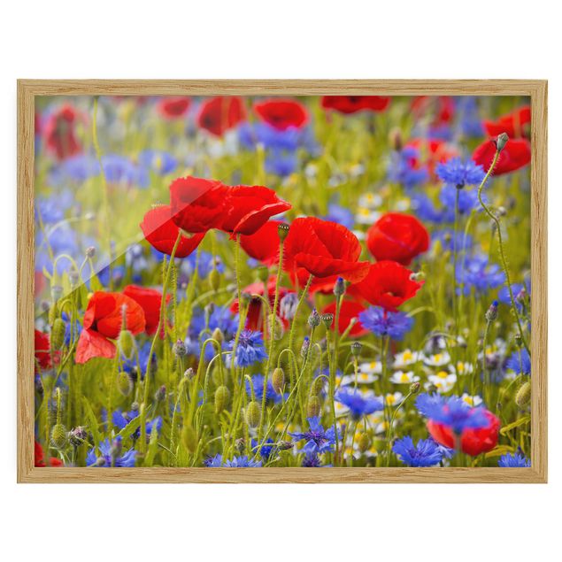Flower print Summer Meadow With Poppies And Cornflowers