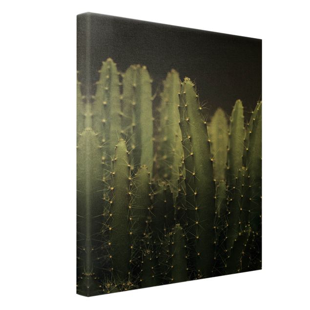 Prints Desert Cactus At Night