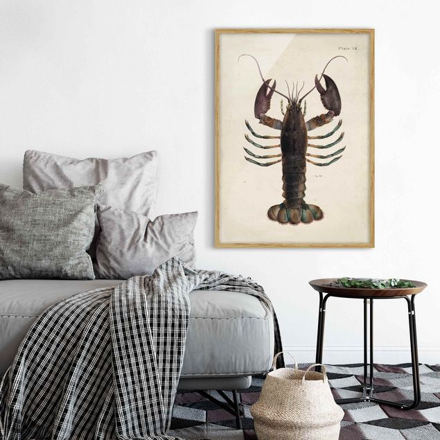Animal wall art Vintage Illustration Lobster