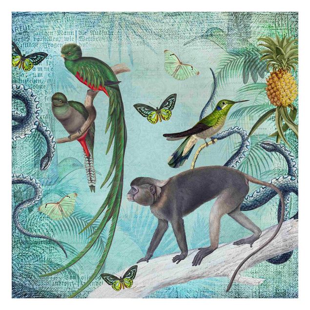 Wallpapers modern Colonial Style Collage - Monkeys And Birds Of Paradise