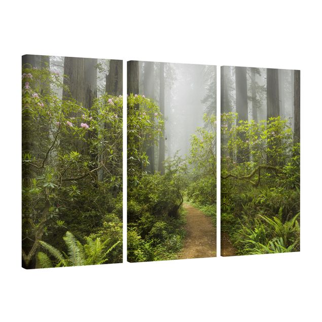 Prints modern Misty Forest Path