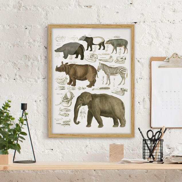 Kitchen Vintage Board Elephant, Zebra And Rhino