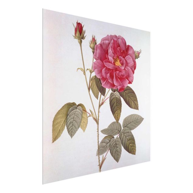 Art styles Pierre Joseph Redoute - Apothecary's Rose