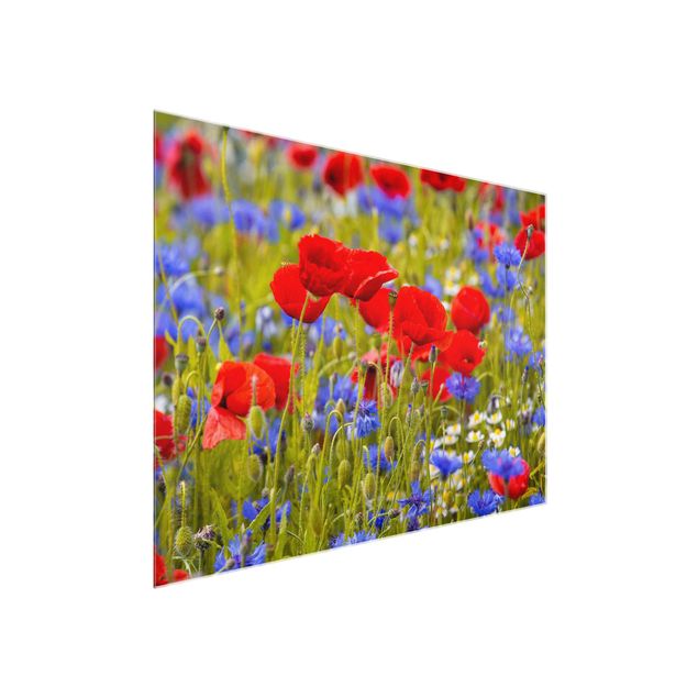 Glass prints flower Summer Meadow With Poppies And Cornflowers