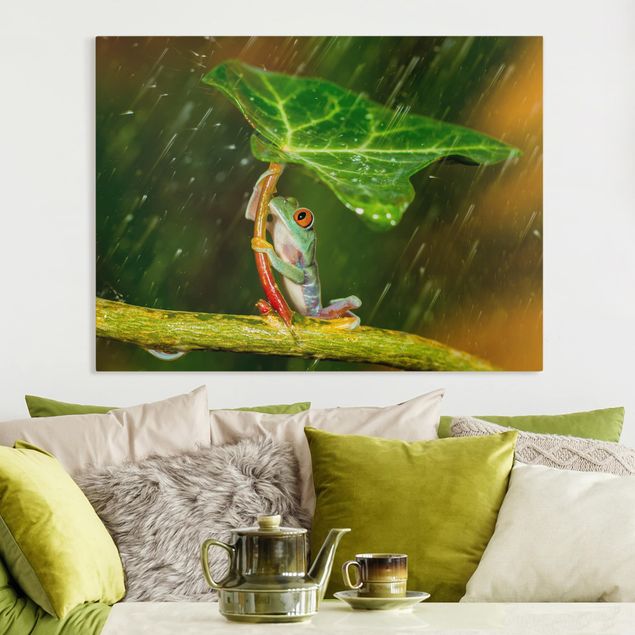 Kitchen Frog In The Rain