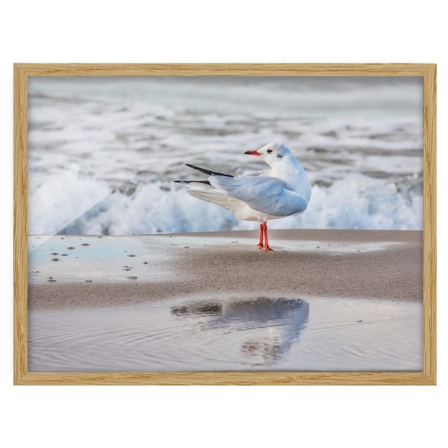 Beach prints Seagull On The Beach In Front Of The Sea