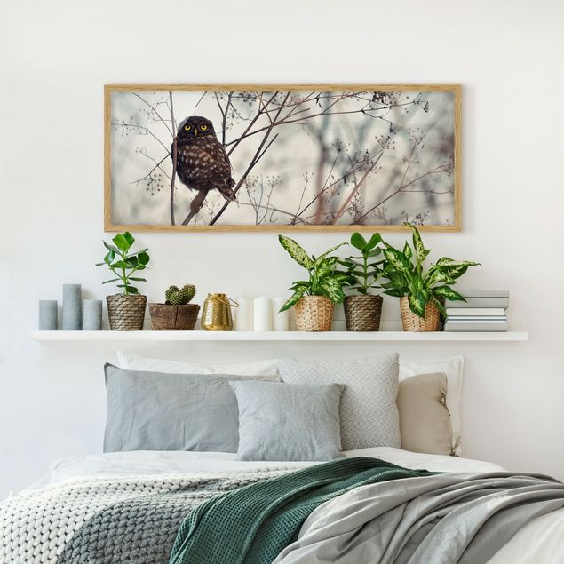 Contemporary art prints Owl In The Winter