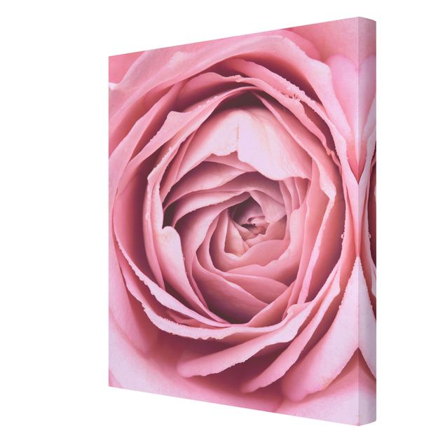 Pink wall art Pink Rose Blossom