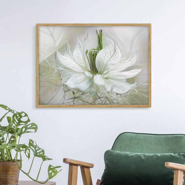 Flower print White Nigella