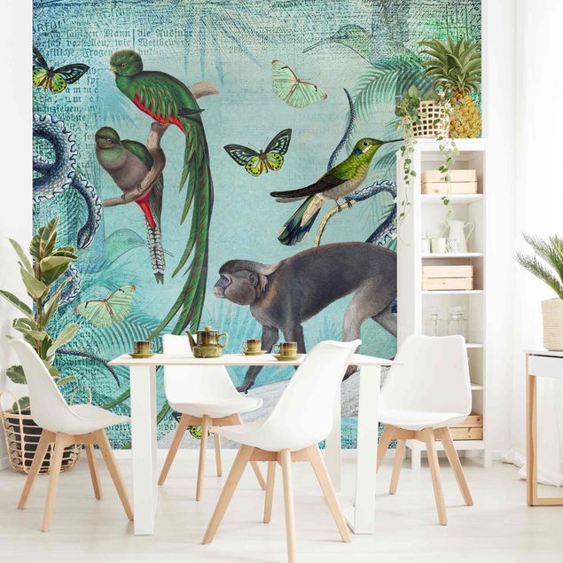 Wallpapers birds Colonial Style Collage - Monkeys And Birds Of Paradise