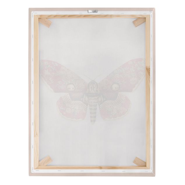 Prints Vintage Moth