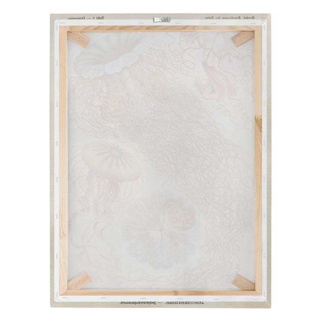 Canvas prints Vintage Board Jellyfish