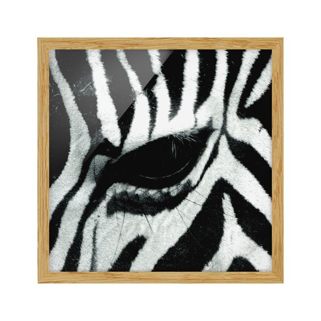 Prints modern Zebra Crossing