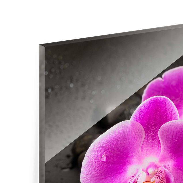 Uwe Merkel Pink Orchid Flower On Stones With Drops