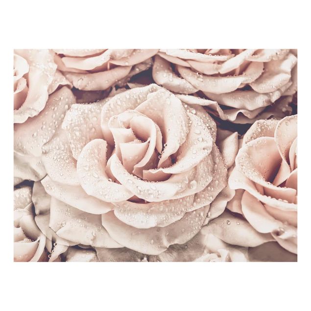 Floral canvas Roses Sepia With Water Drops