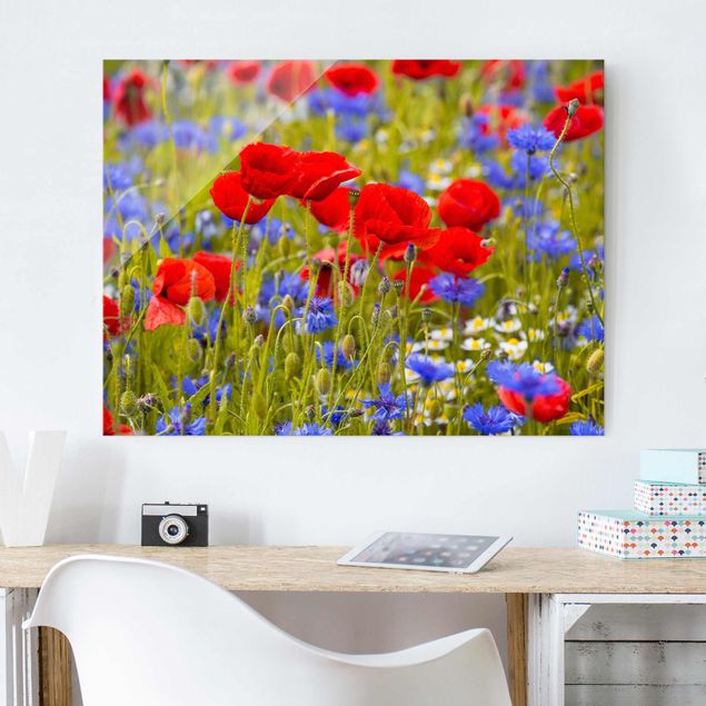 Poppy print Summer Meadow With Poppies And Cornflowers