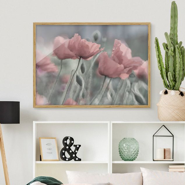 Poppies wall art Picturesque Poppy