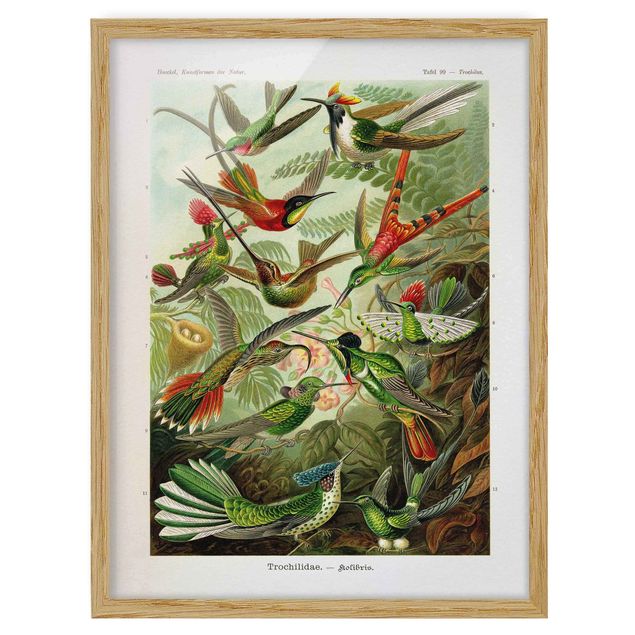 Flower print Vintage Board Hummingbirds