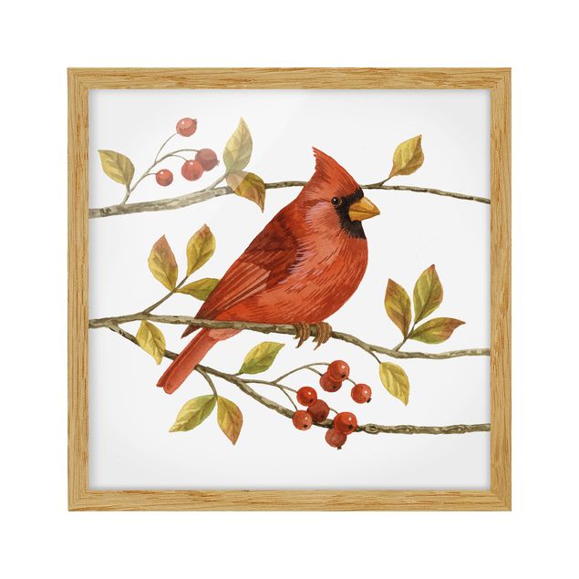 Retro wall art Birds And Berries - Northern Cardinal