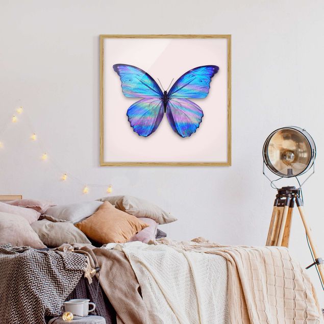 Prints fishes Holographic Butterfly