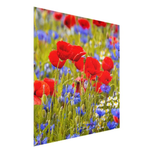 Glass prints flower Summer Meadow With Poppies And Cornflowers