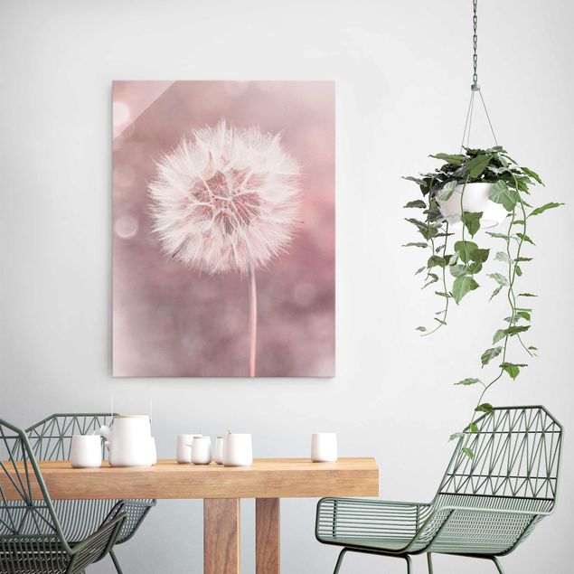 Glass prints flower Dandelion Bokeh Light Pink