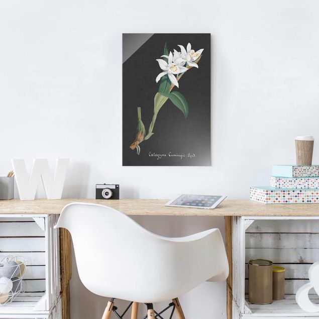 Orchid canvas White Orchid On Linen II