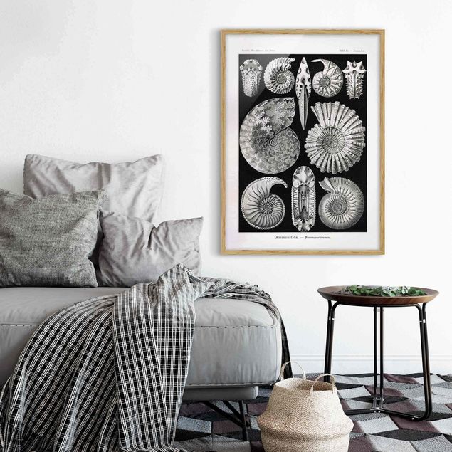 Vintage wall art Vintage Board Fossils Black And White
