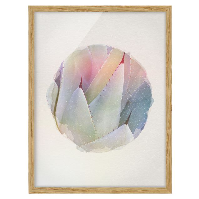 Flower pictures framed WaterColours - Agave