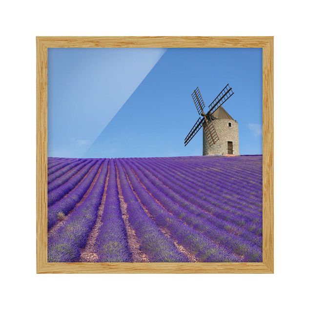 Nature art prints Lavender Scent In The Provence