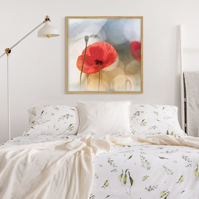 Prints floral Poppies In The Morning