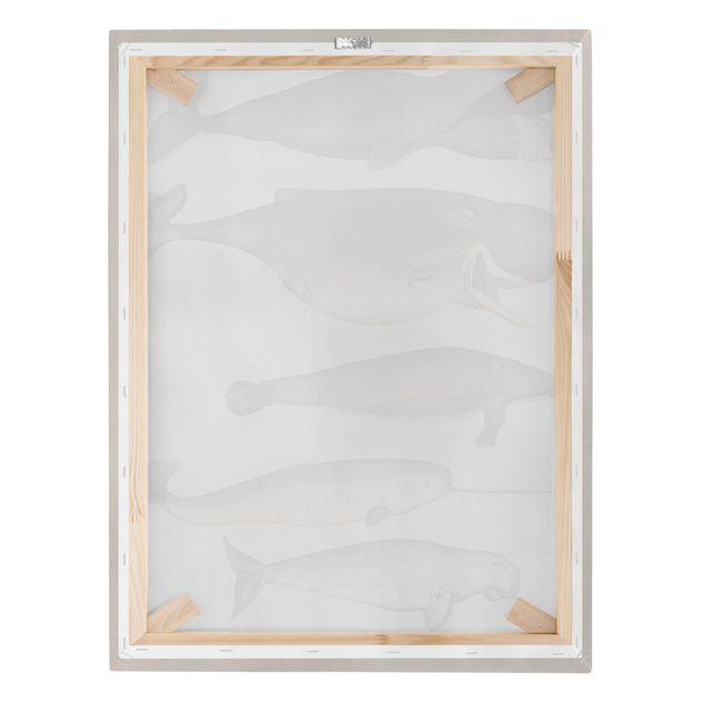 Grey canvas wall art Five Vintage Whales