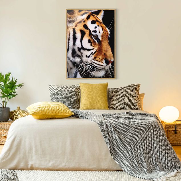 Animal wall art Tiger Beauty