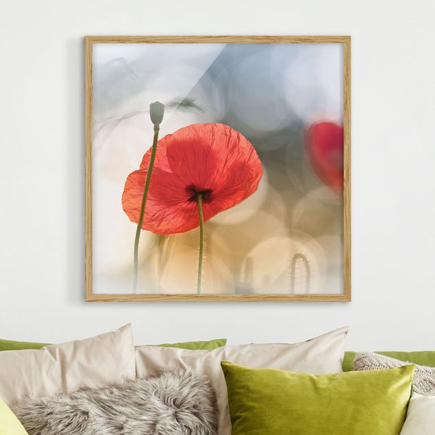 Poppies wall art Poppies In The Morning