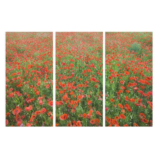 Floral prints Poppy Field