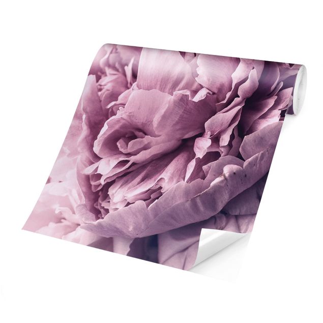 Wallpapers modern Purple Peony Blossoms