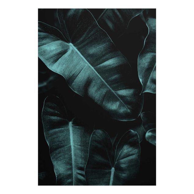 Prints floral Jungle Leaves Dark Green