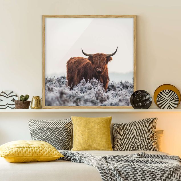 Animal wall art Bison In The Highlands